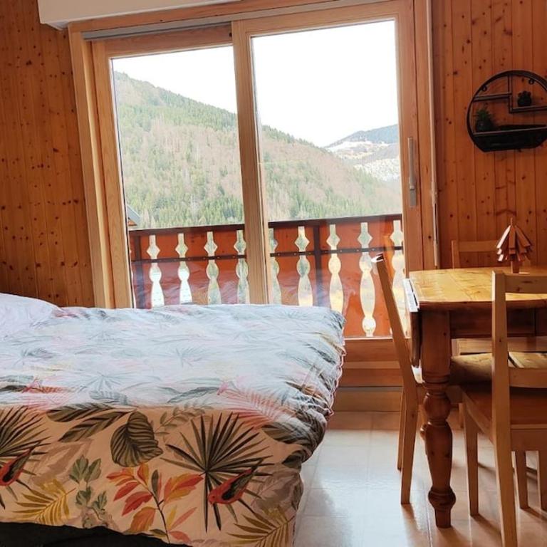 Chez Nathalie - Appartement cosy- Multi pass offert- Draps, serviettes et ménage compris - Appartement 1 Chambre - 7