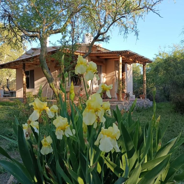 Chañar - Apartamento de 1 dormitorio - 4