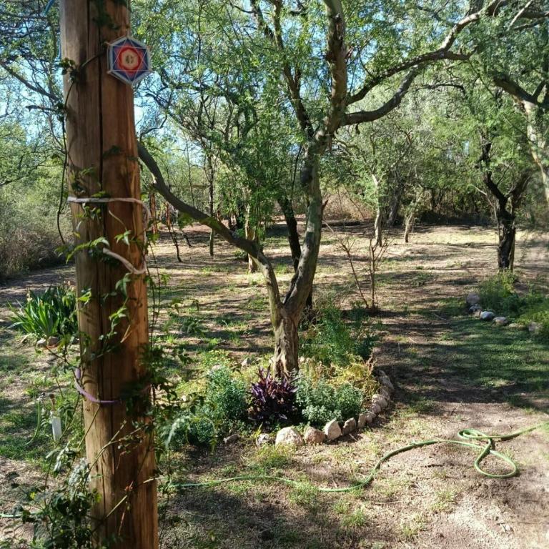 Chañar - Apartamento de 1 dormitorio - 17