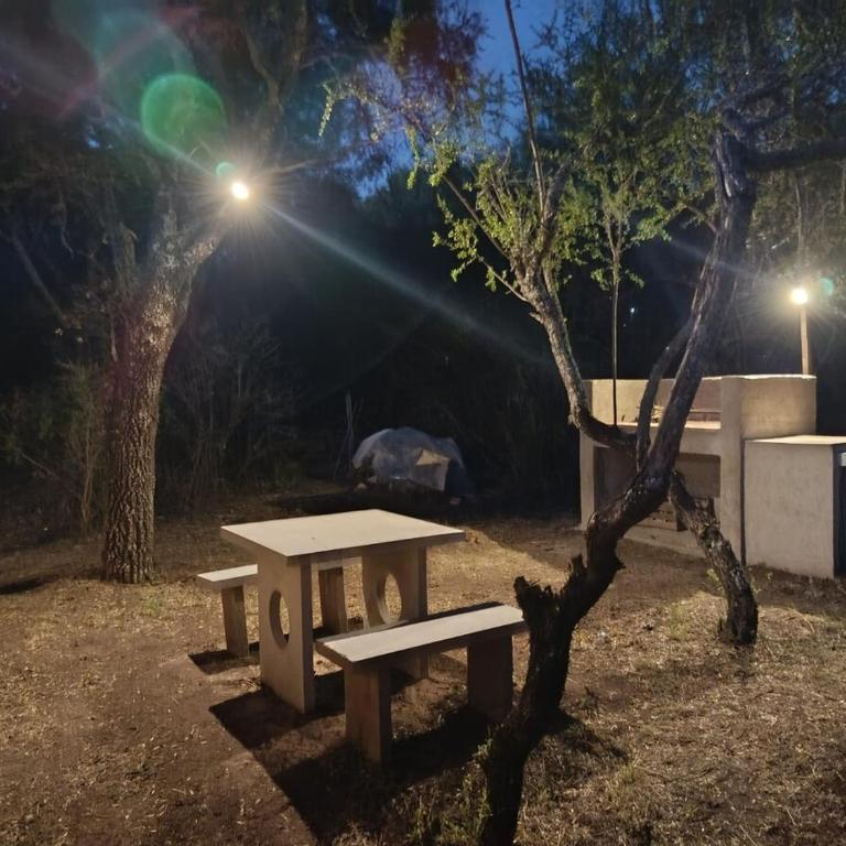 Chañar - Apartamento de 1 dormitorio - 19