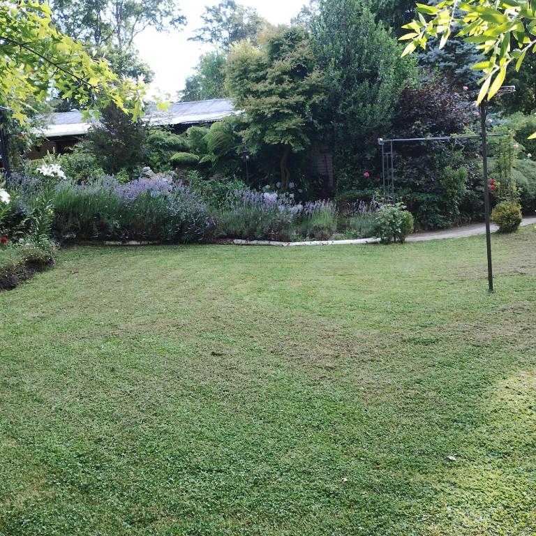 Cabaña Petalos Villarrica bungalows 3 personas - Casa con 1 dormitorio - 1