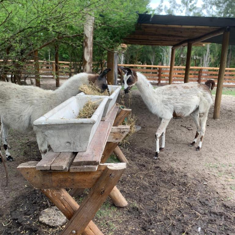 Espacio Natural - Casa de 2 dormitorios - 45