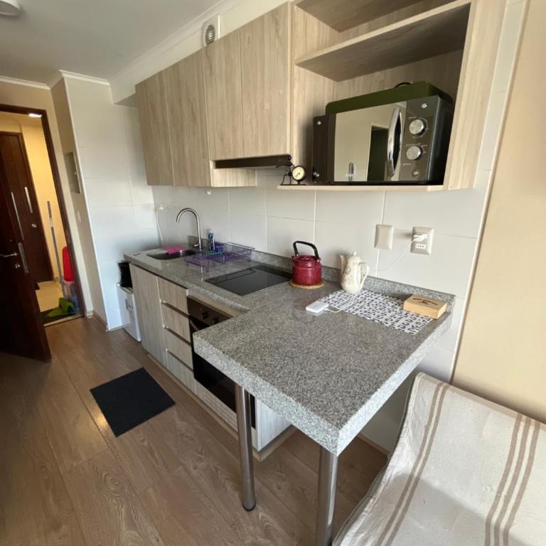Departamento central en osorno - One-Bedroom Apartment - 8
