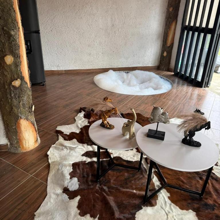 Entre pinos - Chalet - 10