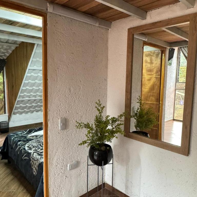 Entre pinos - Chalet - 15