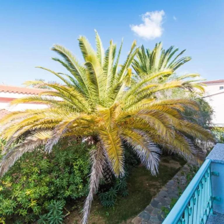 Studio in Meernähe auf Sardinien - Appartamento - 25