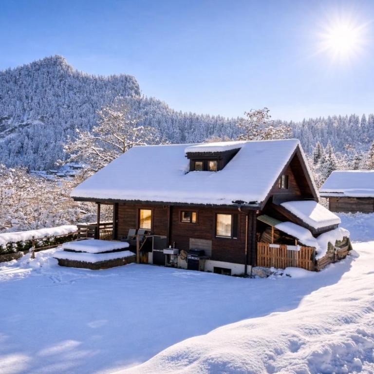 Chalet Ardoise - Nature Paradise - Swiss Alps - Chalet - 1