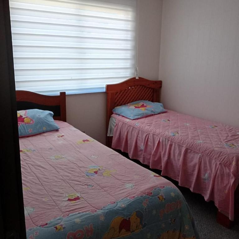 Casa Villarrica - Casa con 1 dormitorio - 2