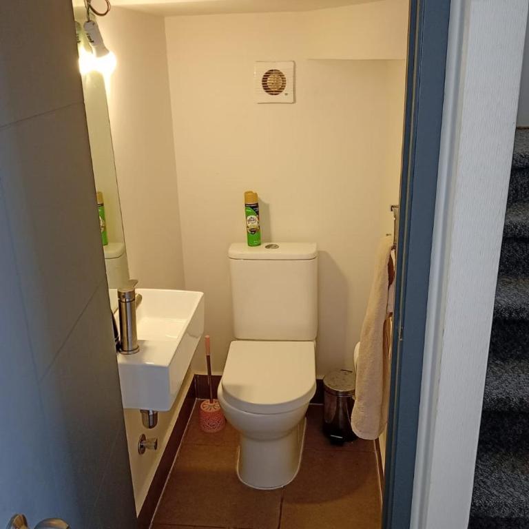 Casa Villarrica - Casa con 1 dormitorio - 8