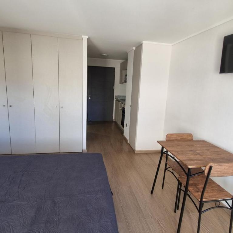 Departamento Studio en pleno centro de Concepción - One-Bedroom Apartment - 5