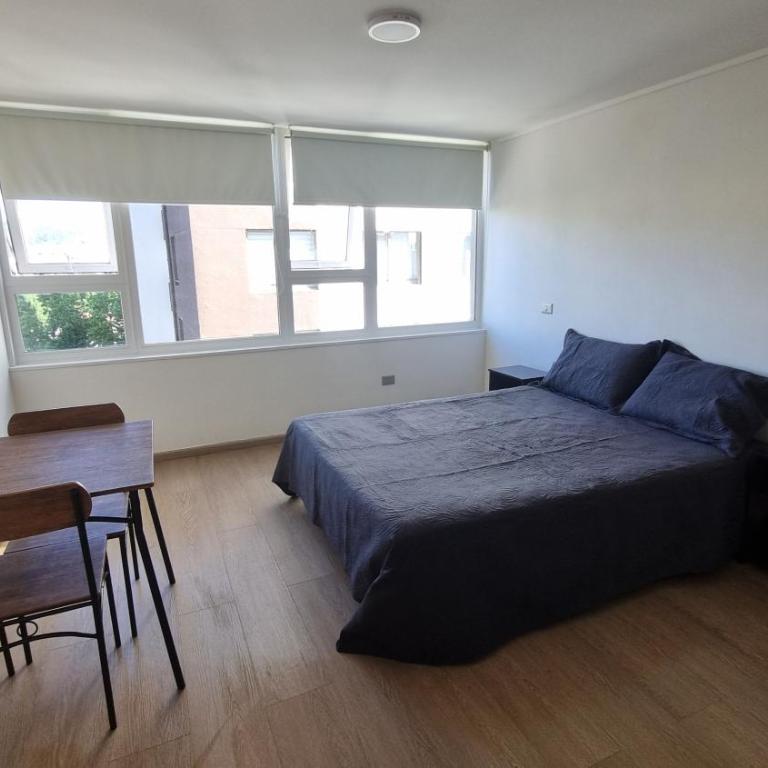 Departamento Studio en pleno centro de Concepción - One-Bedroom Apartment - 8