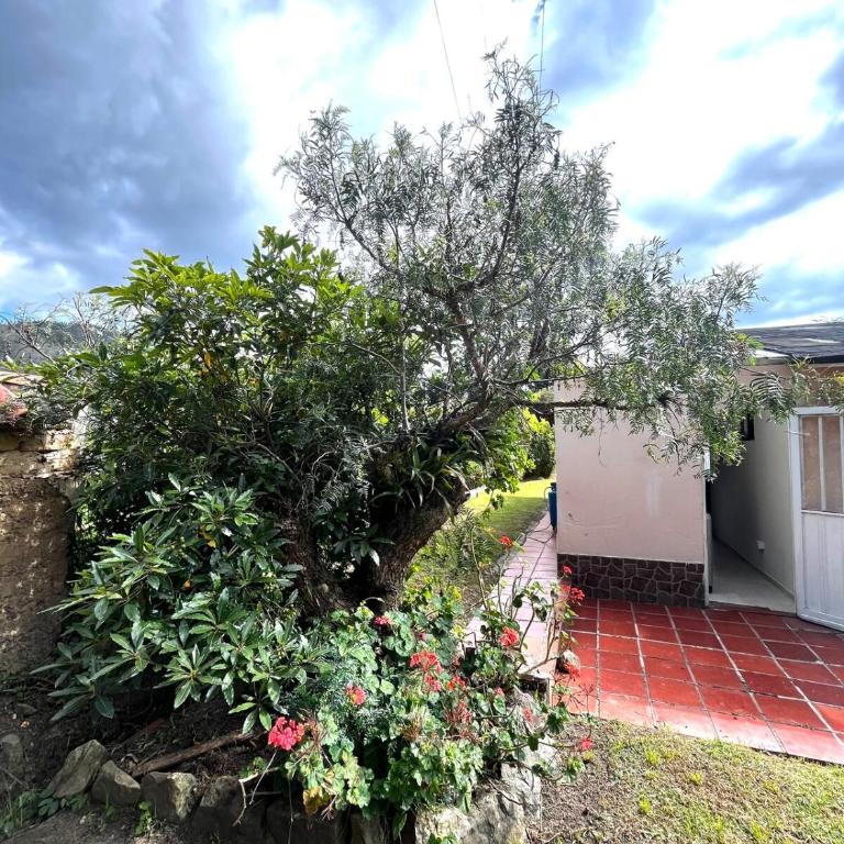 Cozy Country House in Boyacá - Casa de 3 dormitorios - 4
