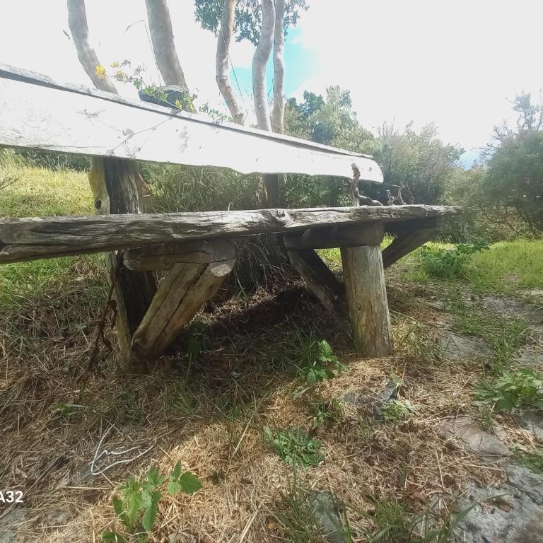 Chiloe Profundo - Casa con 1 dormitorio - 4