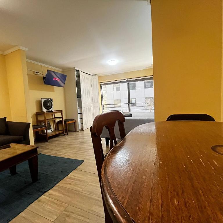 Living Valdivia - Apartamento Estudio - 13