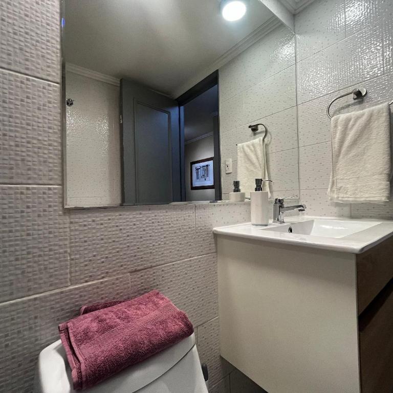 Living Valdivia - Studio Apartment - 11