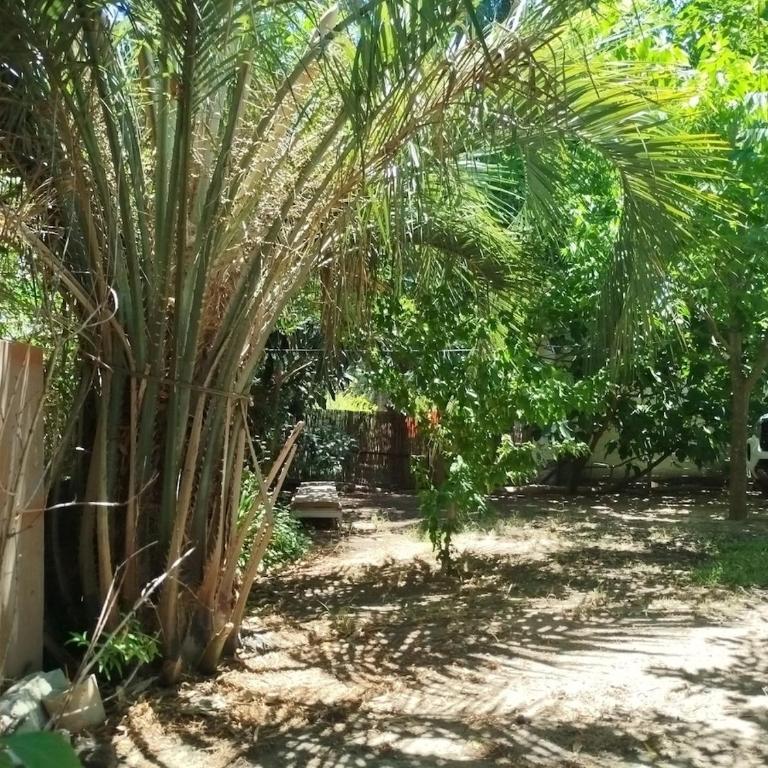 La Pasiflora 300 meters from the beach - Casa con 1 dormitorio - 2