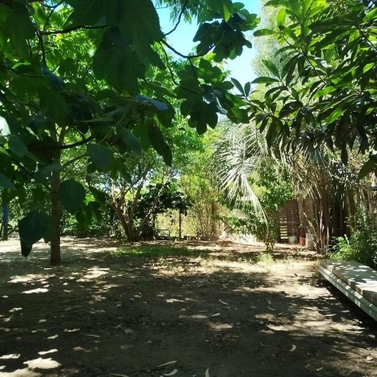 La Pasiflora 300 meters from the beach - Casa con 1 dormitorio - 27