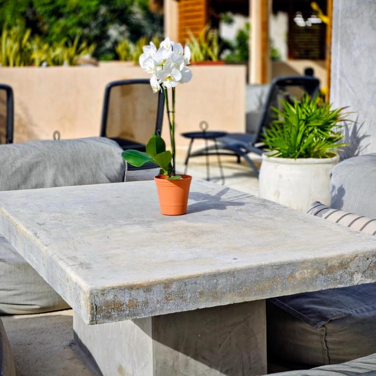 Premium Apartment in Tulum 2 Bedrooms Roof Top Pool - Aldea Zama - Apartamento de 2 dormitorios - 32