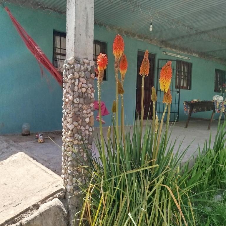 La escondida - Casa de 4 dormitorios - 20