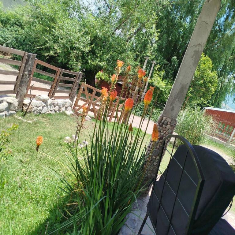 La escondida - Casa de 4 dormitorios - 21