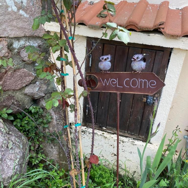 Le Soleil de Flaut Beautiful studio house Nature - Haus mit 1 Schlafzimmer - 8