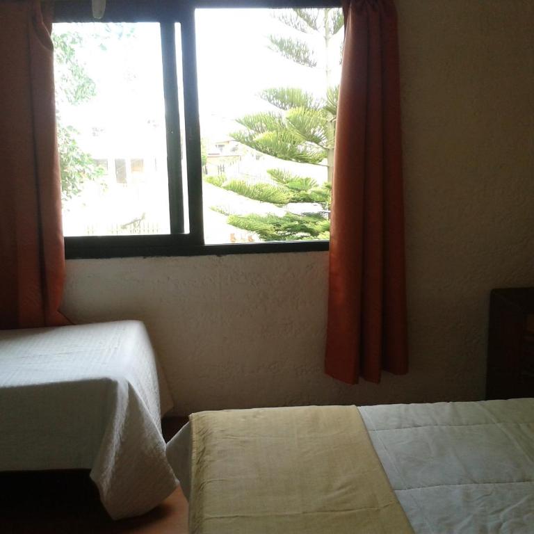 La Casa del Caminante - Apartment with Garden View - 5