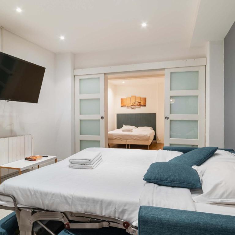 Loft moderne face jardin des plantes - 4P - Appartement - 12