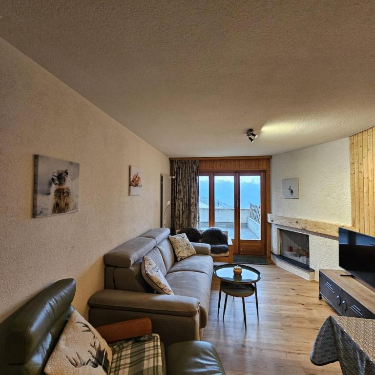 appartement Veysonnaz, Valais, ski, mountain biking, raquettes, balades - Appartement 2 Chambres - 2