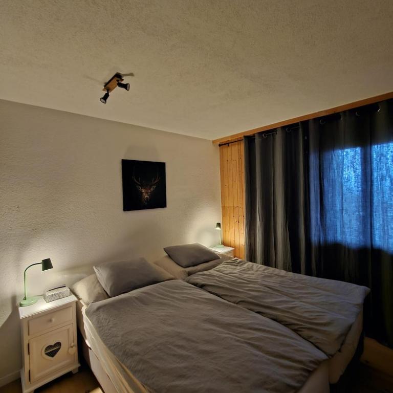 appartement Veysonnaz, Valais, ski, mountain biking, raquettes, balades - Appartement 2 Chambres - 3