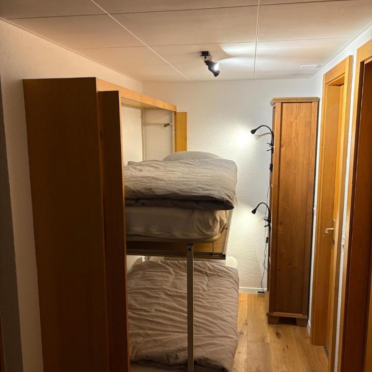 appartement Veysonnaz, Valais, ski, mountain biking, raquettes, balades - Appartement 2 Chambres - 5