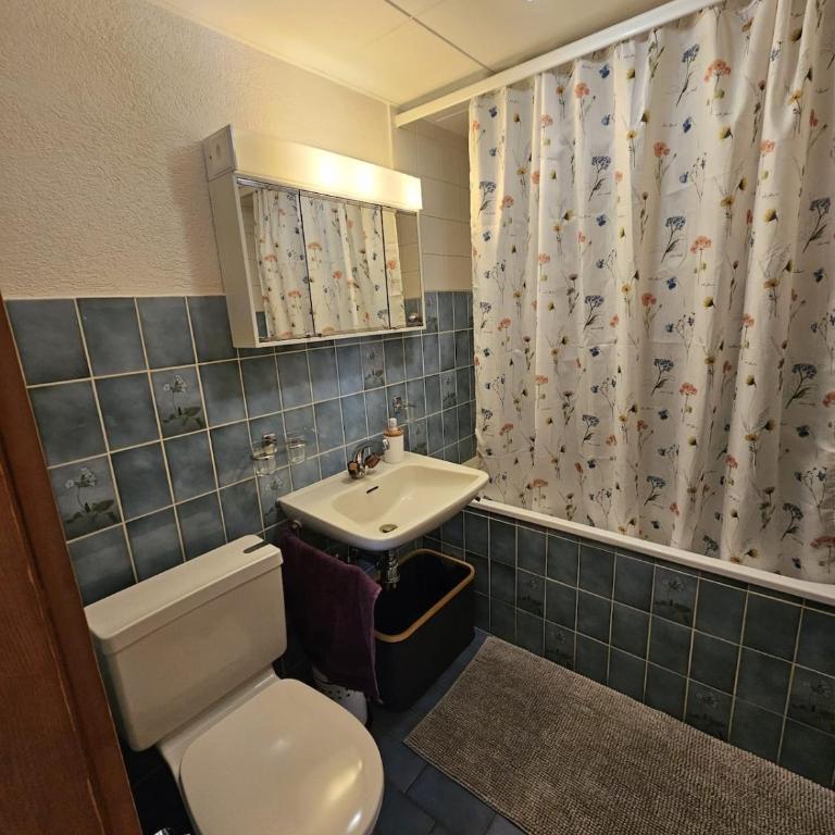 appartement Veysonnaz, Valais, ski, mountain biking, raquettes, balades - Appartement 2 Chambres - 6