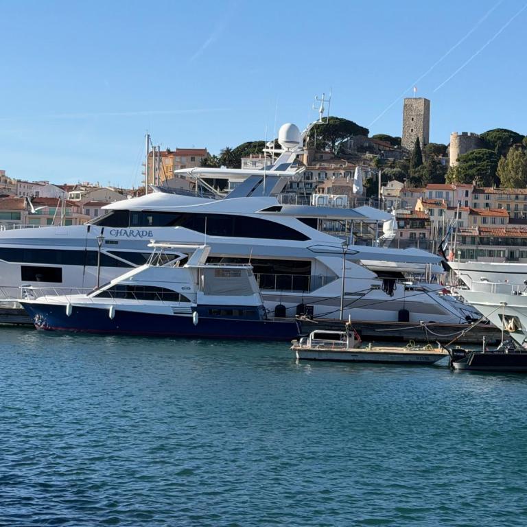 CANNES: Appartement Cosy à 2 pas de la Croisette - Appartement 1 Chambre - 30
