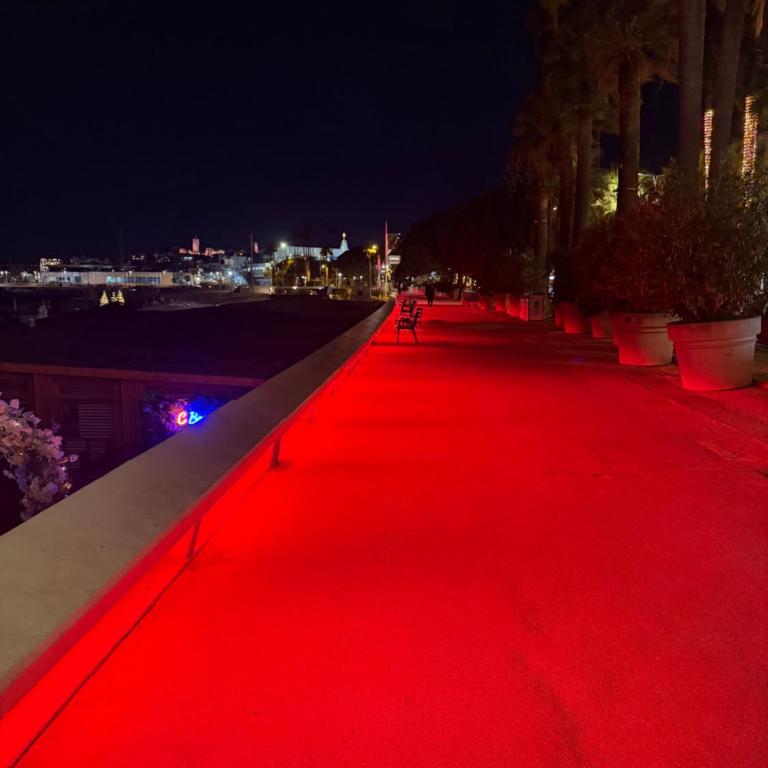 CANNES: Appartement Cosy à 2 pas de la Croisette - Appartement 1 Chambre - 31