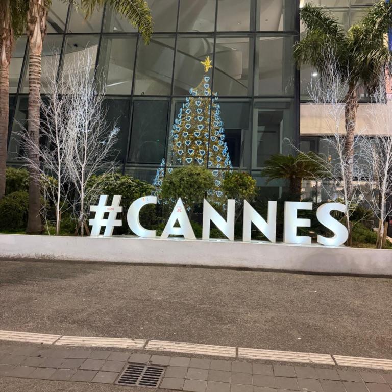 CANNES: Appartement Cosy à 2 pas de la Croisette - Appartement 1 Chambre - 33