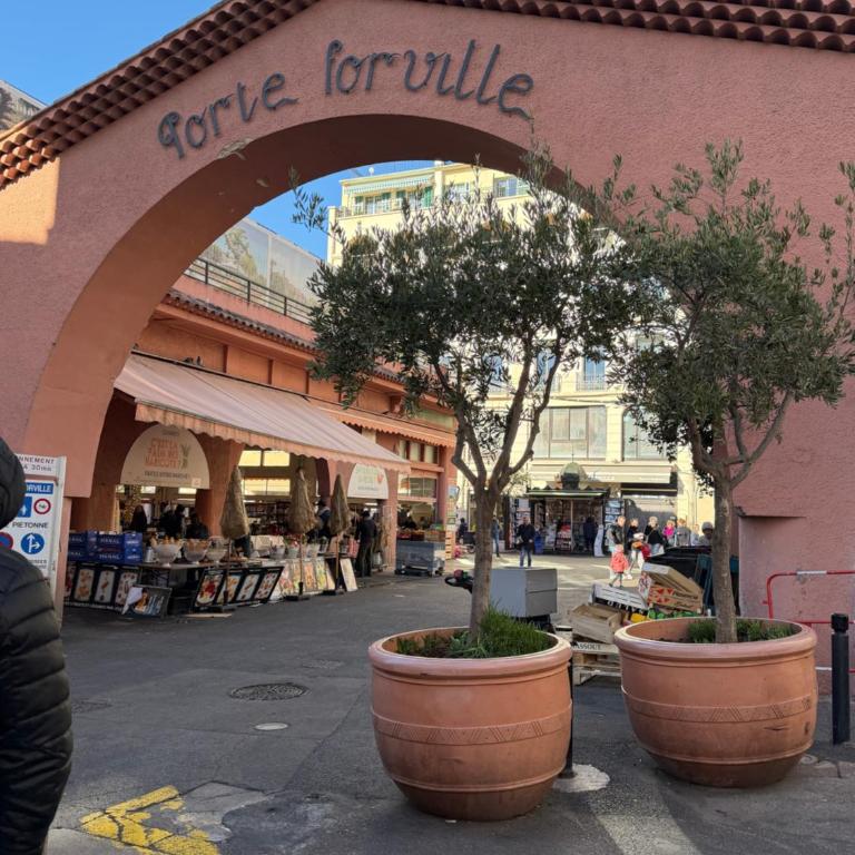 CANNES: Appartement Cosy à 2 pas de la Croisette - Appartement 1 Chambre - 36