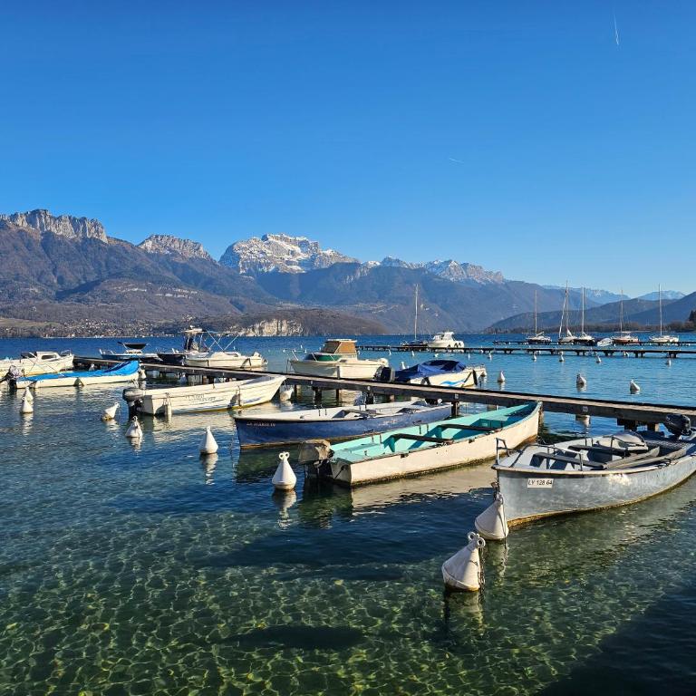 Les Glycines Spacieux appartement 6 pers avec Jardin à 200m du Lac - Apartment mit 3 Schlafzimmern - 44