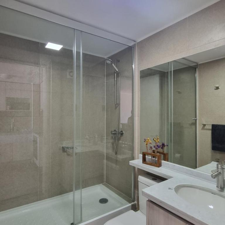 Hermoso depto Con vista al Parque Ecuador - One-Bedroom Apartment - 15