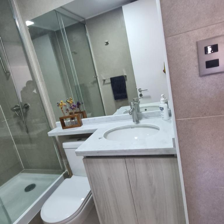 Hermoso depto Con vista al Parque Ecuador - One-Bedroom Apartment - 14