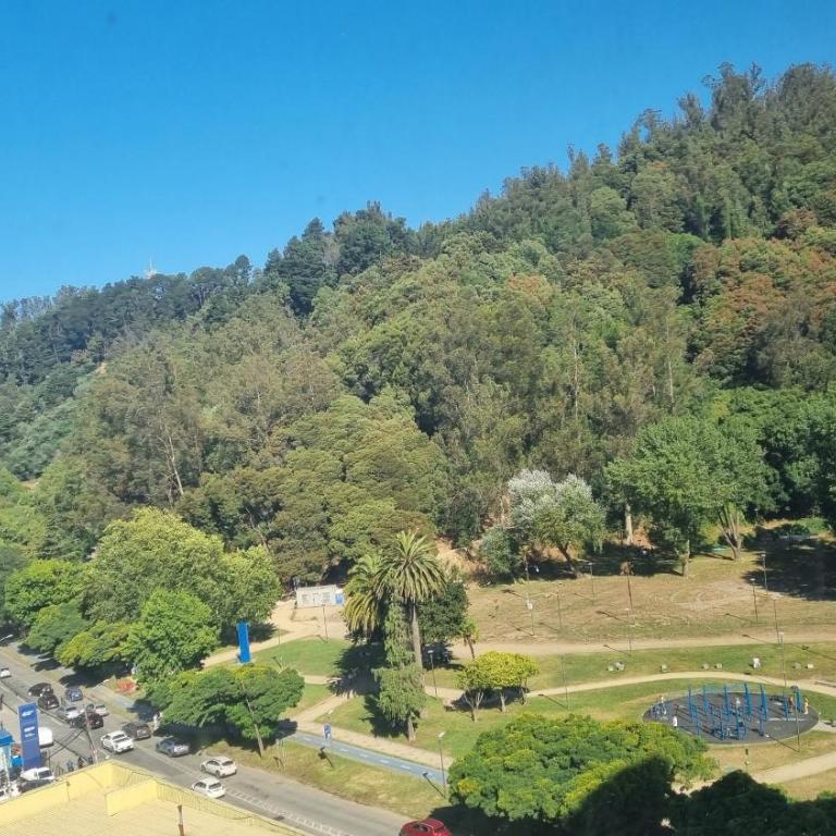 Hermoso depto Con vista al Parque Ecuador - One-Bedroom Apartment - 18