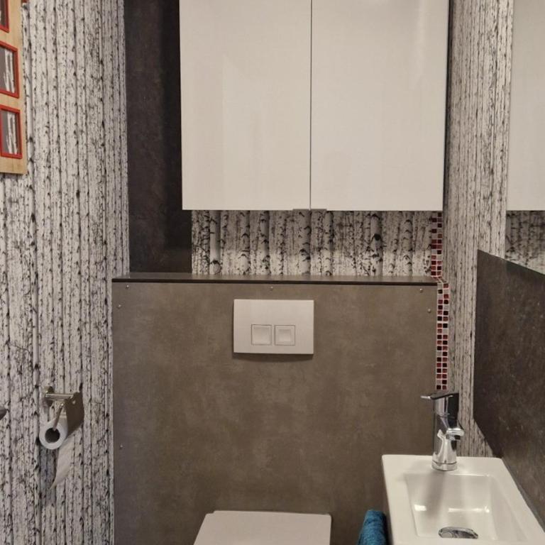 Gîte Le Cincle au cœur du massif des Vosges - Appartement - 12