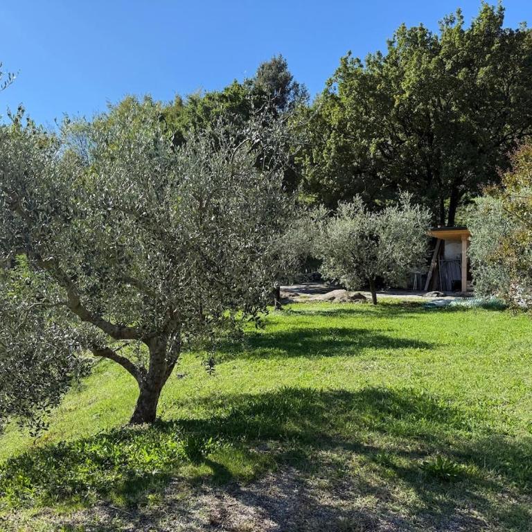 Dream Gardasee Chalet con giardino mediterraneo - Four-Bedroom House - 91