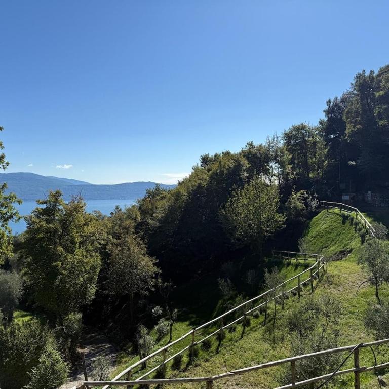 Dream Gardasee Chalet con giardino mediterraneo - Four-Bedroom House - 56