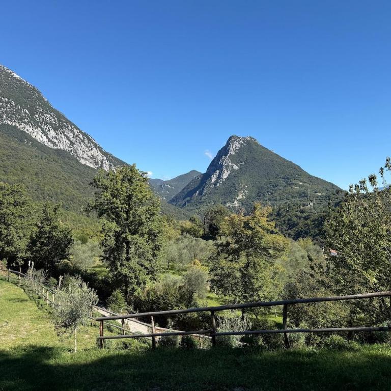 Dream Gardasee Chalet con giardino mediterraneo - Four-Bedroom House - 59