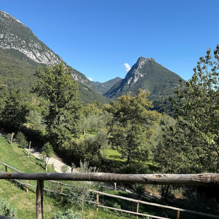 Dream Gardasee Chalet con giardino mediterraneo - Four-Bedroom House - 60