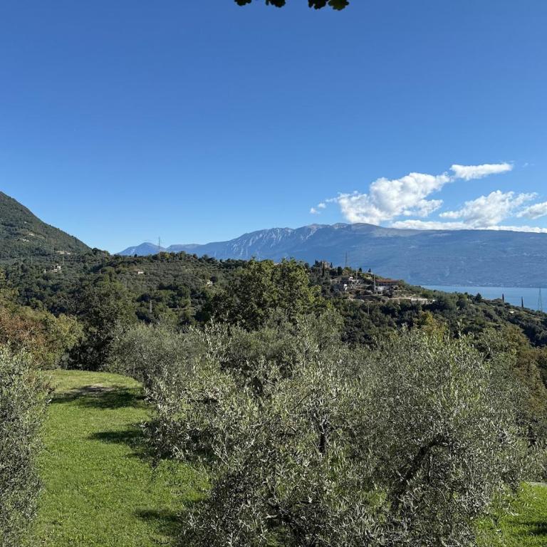 Dream Gardasee Chalet con giardino mediterraneo - Four-Bedroom House - 63