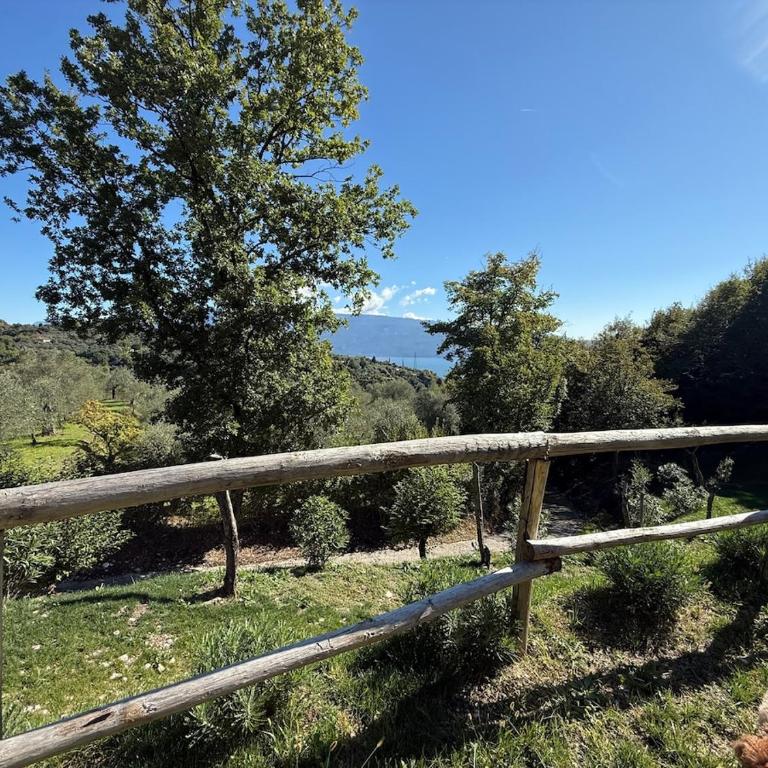 Dream Gardasee Chalet con giardino mediterraneo - Four-Bedroom House - 77
