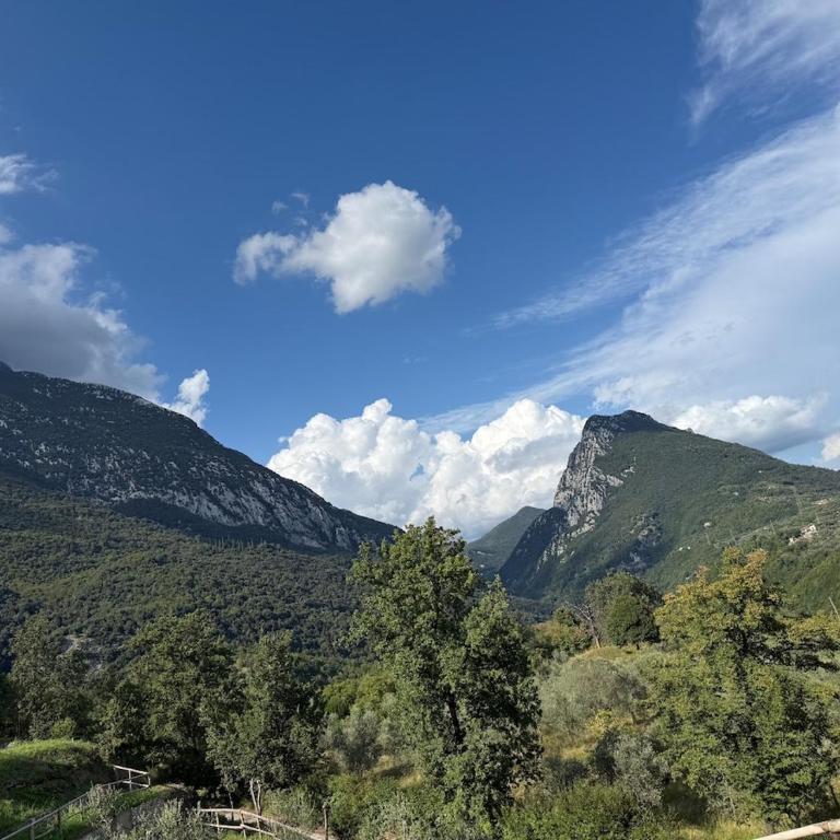 Dream Gardasee Chalet con giardino mediterraneo - Four-Bedroom House - 73