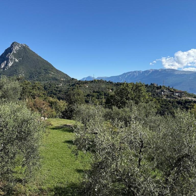 Dream Gardasee Chalet con giardino mediterraneo - Four-Bedroom House - 74