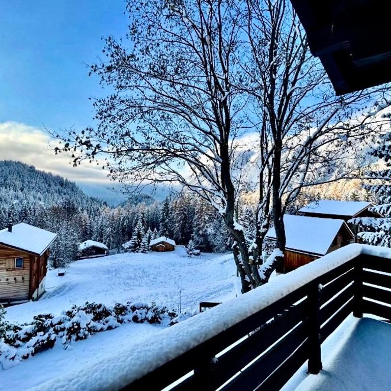 Hüttli Chalet Weitblick 10 Minuten zur Skigondel und Aletschgletscher - Apartment mit 1 Schlafzimmer - 32