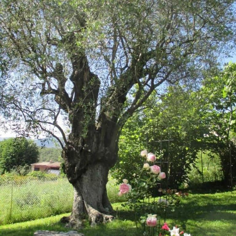 L'emiliana - Maison 2 Chambres - 23